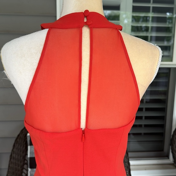 NWT: Dress the Population Halter-neck Dress - Picture 7 of 13